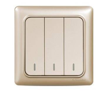 施耐德畅意A3B34-1A-WG四位单控大板开关(磨砂金)